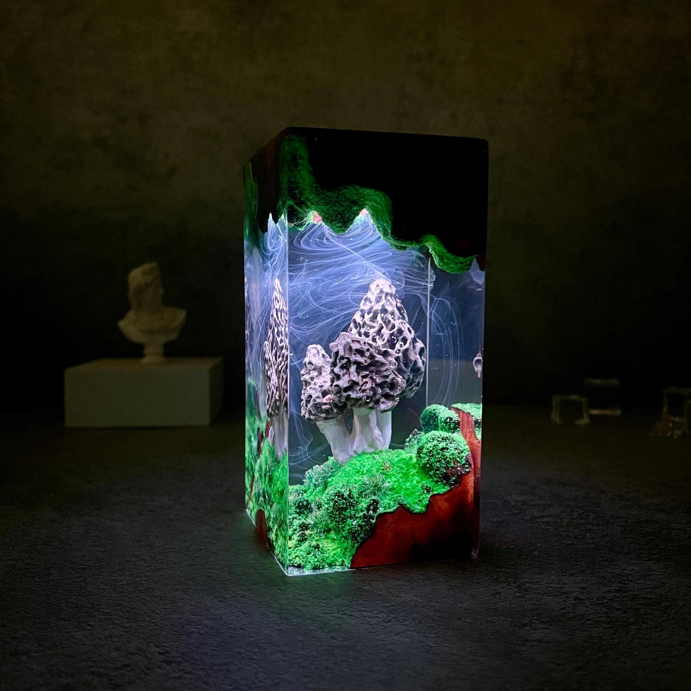 Morel Mushroom Epoxy Resin Lamp, Night Light