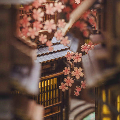 Sawara Town - Book Nook