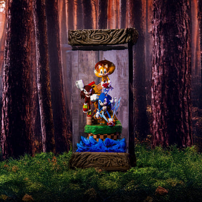 Team Heroes Sonic the Hedgehog Epoxy Resin Lamp, Night Light, Wireless Lights