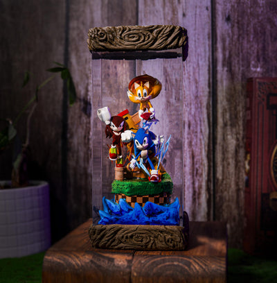 Team Heroes Sonic the Hedgehog Epoxy Resin Lamp, Night Light, Wireless Lights